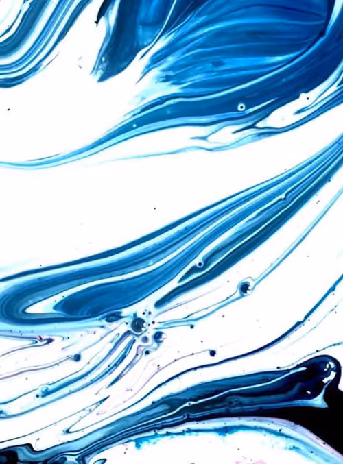 Item #100215834348252495882822669410041435854807957610066919475091088352631869931521 Media