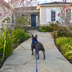 99031261785432219130552668818269695456905868997165113515571762528158440488961