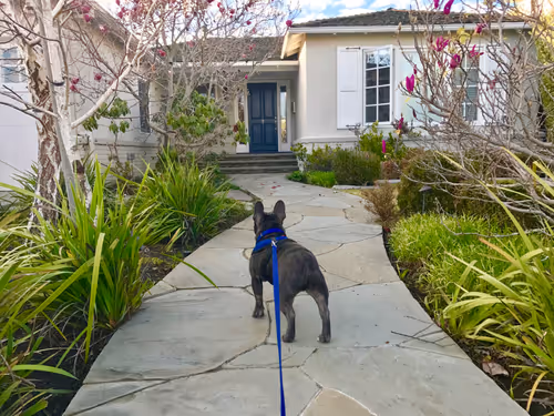 99031261785432219130552668818269695456905868997165113515571762528158440488961