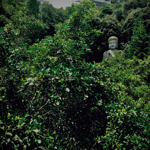 Item #53256051382526806693033333135834754723594393948351704471478678642856162230273 Media