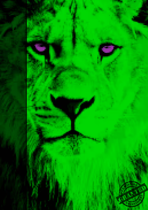 Item #50459515703041392819542908586521529381772501982036057728161511811623222771713 Media