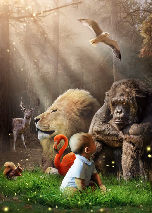 Item #28047297360399106646396899863334682113987094513771223796567578011217529143306 Media