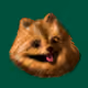 114579376276628147401995825459344200387217293278800411897471147207478585851905