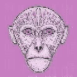 109551179123198513786744109746146747209844980702492867948297126029444815781889