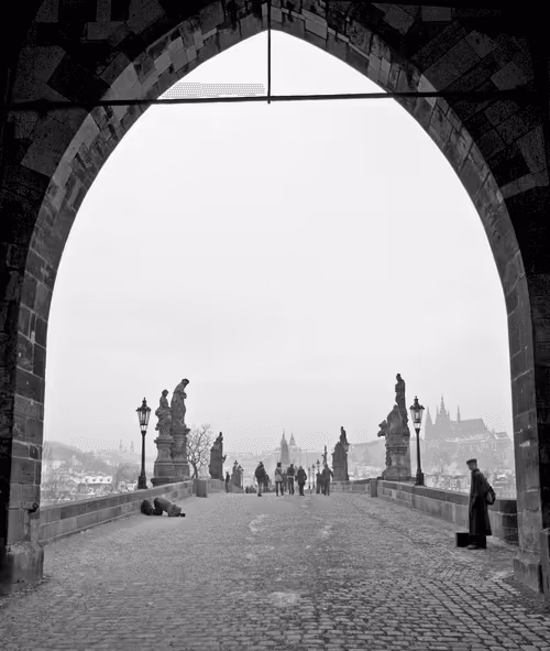 Item #72771752724512834897841148734331697196499953349916527017693403073988901470308 Media