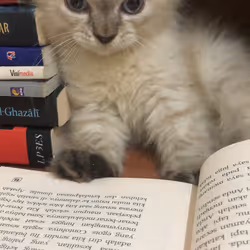 113108123893781287193638742201143473737808108693062803138143660135253790425089