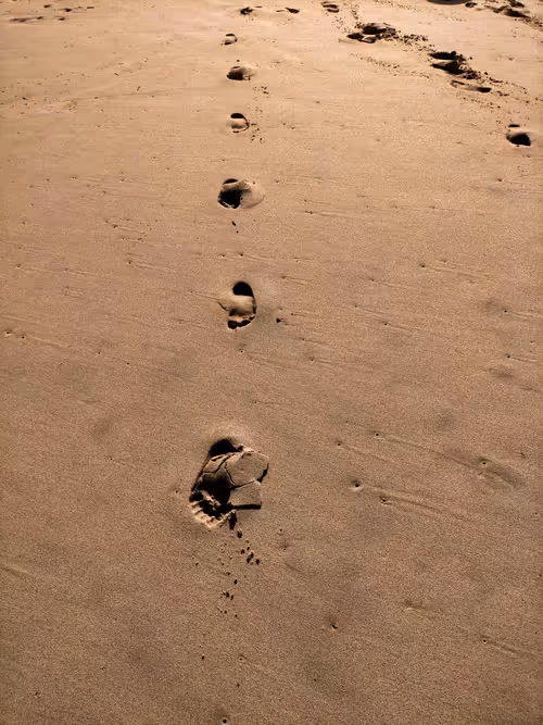 Item #43879787019181324380889121927246652484173095409087023942912875773174535421953 Media