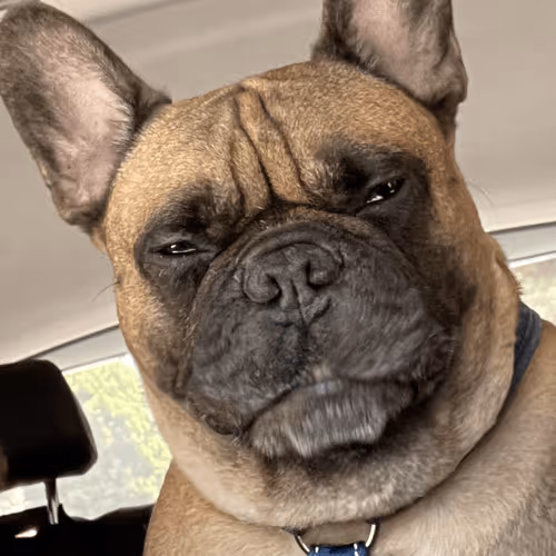 Rocco