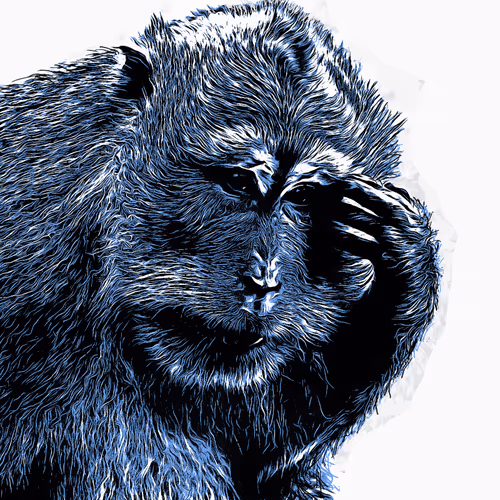 Item #94774503367966308331696798044000487908751309617164458877969261211401846784001 Media