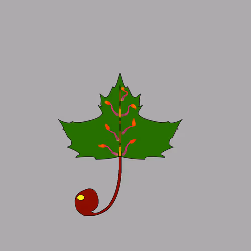 Item #67442861663334708568431626599499864796798009138674433109352702716510386257921 Media