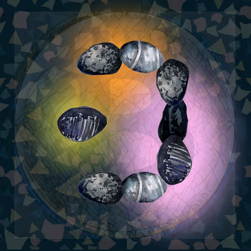 Item #98062590430695689412309071703136088106692791333846769321235453828950369763329 Media