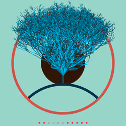 74168867016011539093366687608765447348507224284888477074887990168477434380289