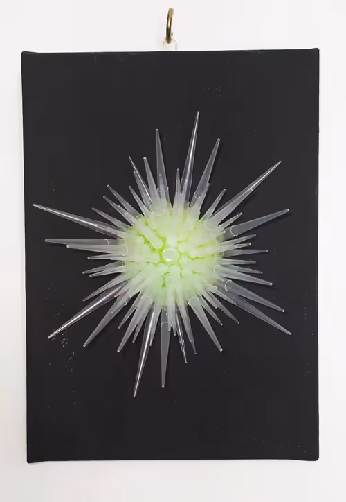 Item #108955583872739655741702358868652756405273862791069305959596897680816158539777 Media