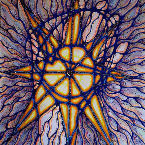 Item #81993574921097535986251652181728849103465321594781141163442724754635536465921 Media