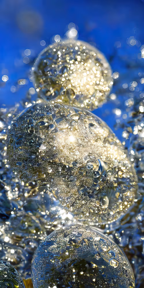 Item #53204195999668057401361450590388499232587888718751066529720239257615339618305 Media