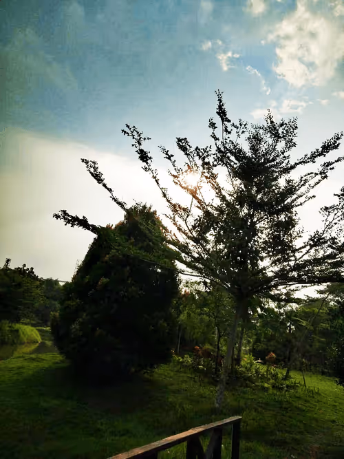 Item #25755729026420492831913184681258172914900047254576053712141864090777052774401 Media