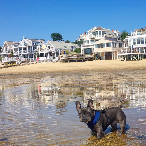 Item #99031261785432219130552668818269695456905868997165113515571762425903859105793 Media