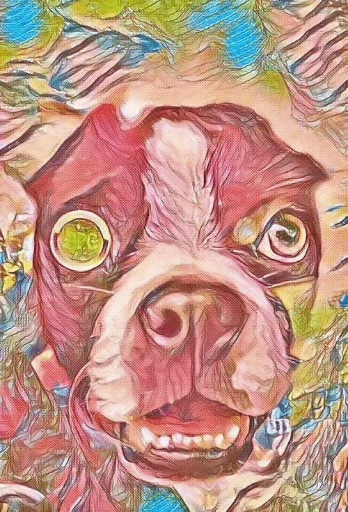 Item #99074925972871264219831703767787305253895943906433622272341940115184025600010 Media