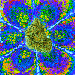 13955282856406335165414100891374623718709547313428947888299033995639229775880