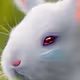 28108248739862381927292653076973865341666739129252734801933223070916738547713