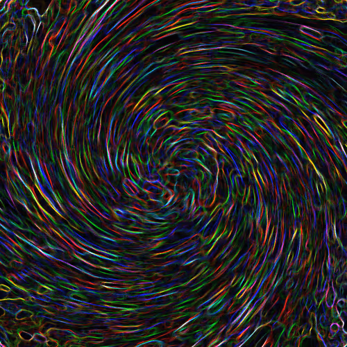 Item #40389743372569891044836314091680478462573009287648165210937828775598024032257 Media