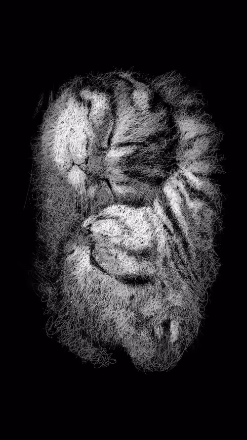 Item #20286817641922993541065929101952433978531825078991625494647867564610566488065 Media