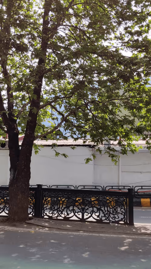 Item #28492546344238997982627040595659913257173957231691920694804582513470200610817 Media