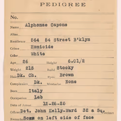 Police "Pedigree" Document for Alphonse Capone AD/NPG.97.5