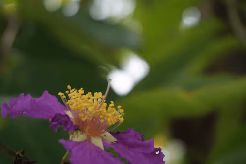 Item #47962454375698423751977915587329446952876622946819425437823996598047370903553 Media