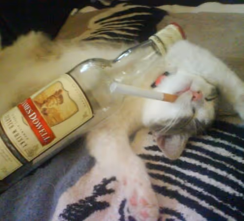 Untitled Collection #44726764