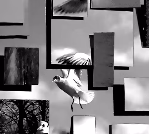 Item #67700956857859350768727882935590267002248643144831665997634290582339371139073 Media