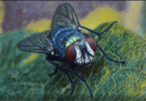 Item #18015860917420513287606478790752061952369851370115582508811402576012878282852 Media