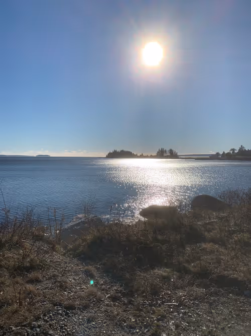 Item #79545156114315803547142534372427060131270838269167006736040653600836397563914 Media