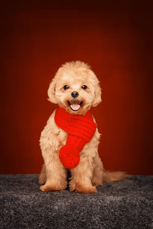 Item #8036610274517614856282005705215780499318604713549687172679363478583739678723 Media