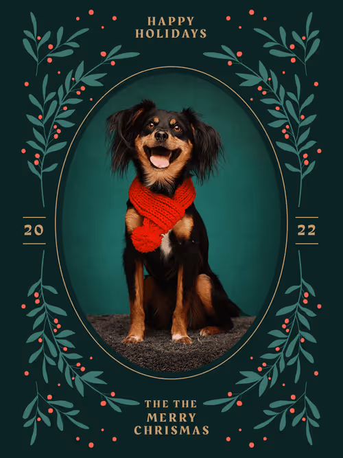 Item #8036610274517614856282005705215780499318604713549687172679363456593507123203 Media