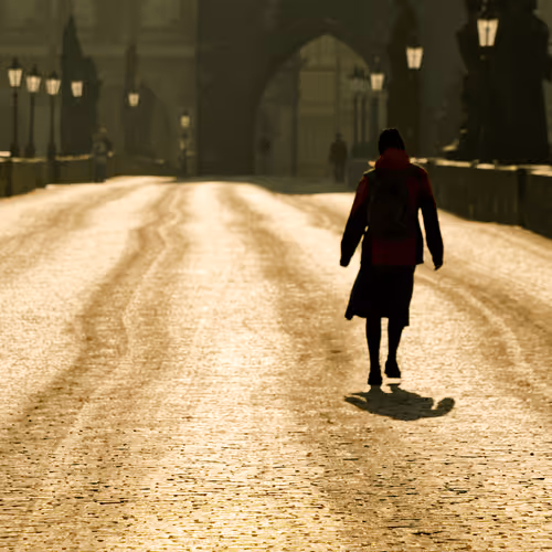 72771752724512834897841148734331697196499953349916527017693403083884506120292