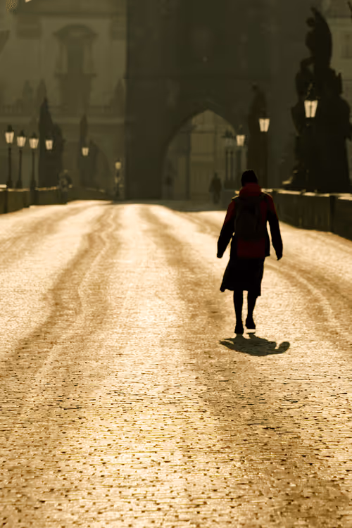 Item #72771752724512834897841148734331697196499953349916527017693403083884506120292 Media