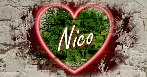 Item #68053287575525751288269231675427811746861684968250582901590729514467811393546 Media