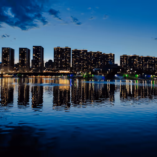 Untitled Collection #116601681