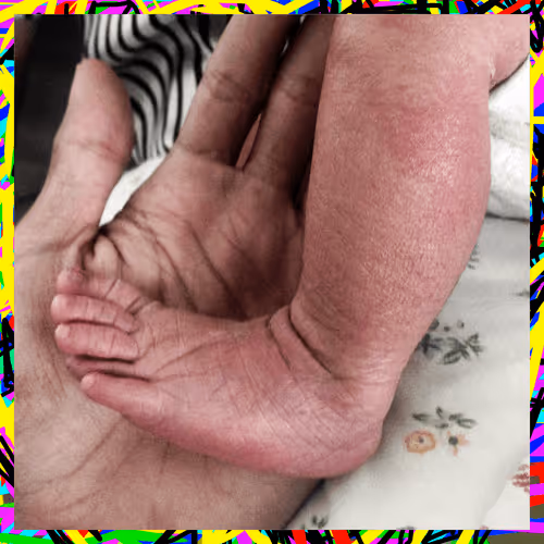 Item #18883018498676412492274571753902890353355863779981924033698072141547809275911 Media