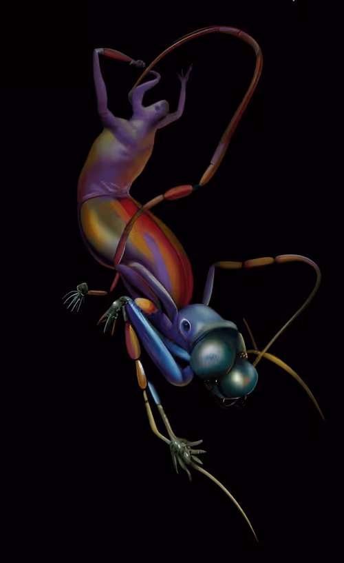 Item #79787343889813582877510155558909016850160649261811296348419943774704971546625 Media