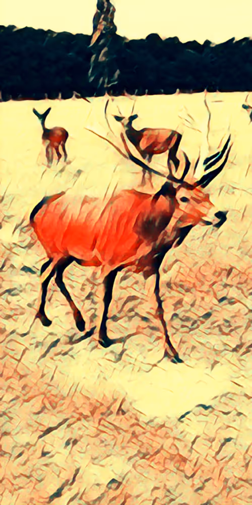 Item #8651498271250357396440676192848533063446167115421124880697921214047892537345 Media