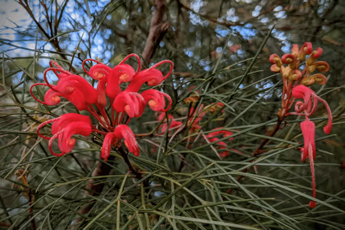 Item #39075669952795110311488058078452160275975432518977374571902800570636275023873 Media