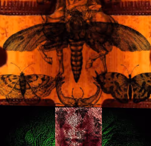 Item #85043563857425734787029872858228068518532895461354812368453176265638385025025 Media