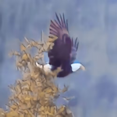 Item #100699266862010265980474664760375873767511284921164942724068626619350147661825 Media