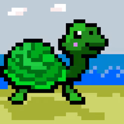 #003 Green Turtle