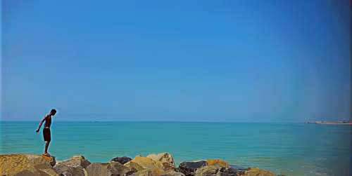 Item #41608925496439583284809555663885876184163164530978979239857956436424286797834 Media