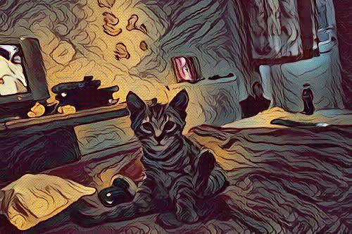 METADARKCAT #100