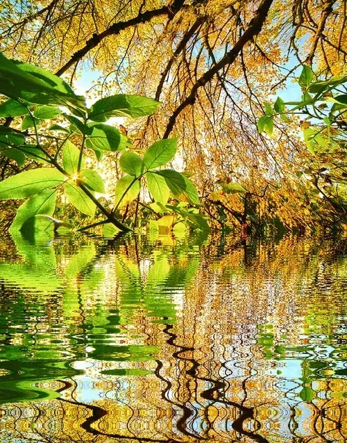 Item #33273431064062745158281459223994481396408298461003960329838769743709067018245 Media