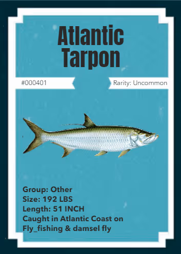 Item #43502264269384842523243150070095810631836830099831581701628992082403315941377 Media